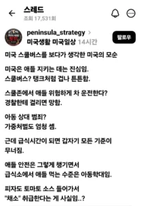 미국 아동 보호의 역설