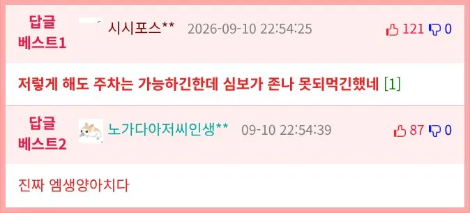 옆자리에 주차 방해하는 사람
