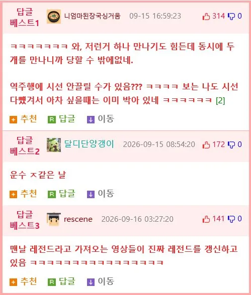 성동격서, 한문철 TV 레전드 영상