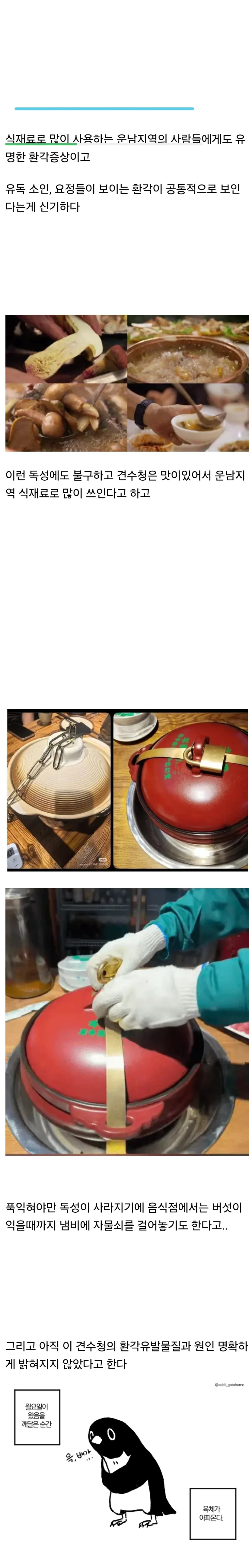 먹으면 요정을 볼 수 있다는 중국의 독버섯