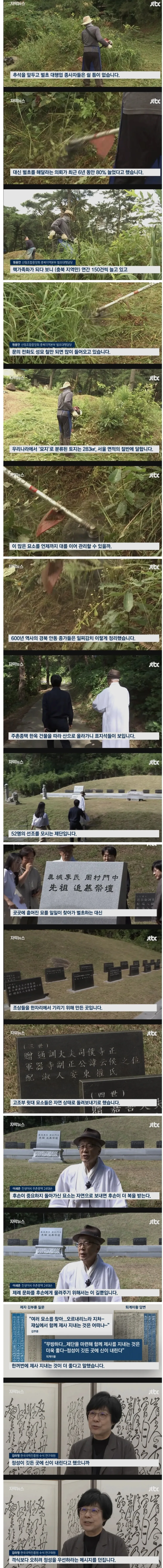 600년 종가, 성묘 및 벌초에 대한 결정