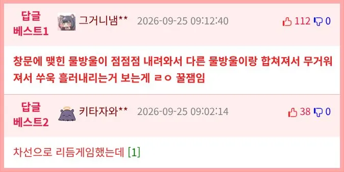 요즘 애들 vs 8살 시절의 나