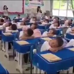 [영상] 한국인들은 잘모르는 중국의 교육
