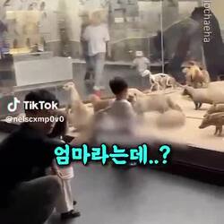친딸을 고소해야 할지 고민된다는 영상