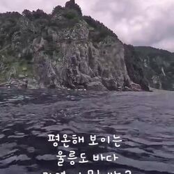 울릉도 해저 풍경