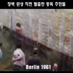 동독 주민, 베를린 장벽 완성 직전 탈출 영상