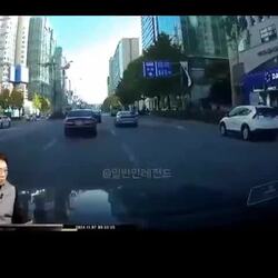 한문철TV] 고라니도 뛰는데 걸어가네?.