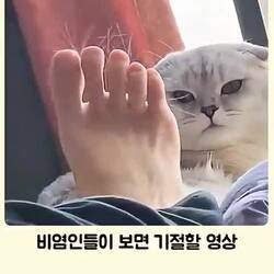 비염 환자 경악 영상