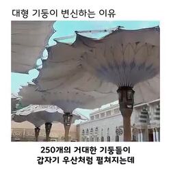 거대한 250개의 기둥, 어떻게 변신했을까?