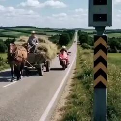시속 337km로 달린 마차, 운전자는 농부