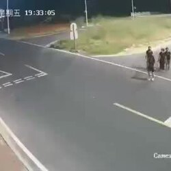 약혐)차가 멈출줄 알았던 무단횡단 여성들.gif
