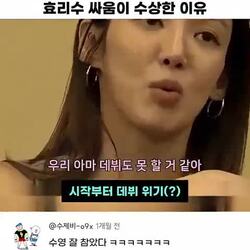효리수 싸움, 수상한 점은?
