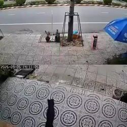 베트남 남자가 개에 물렸습니다 ㄷㄷ