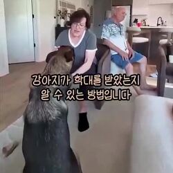 강아지가 학대를 받았는지 알아내는 방법
