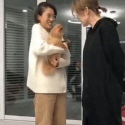 엄마 믿고 깝치는 댕댕이