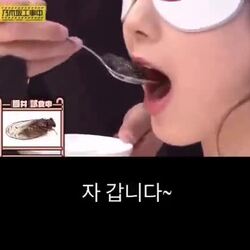 일본 예능에 나온 수상한 출연자