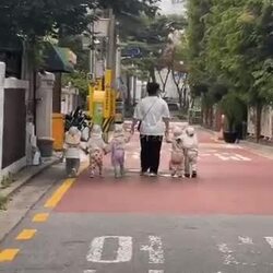 한국 영상, 외국인이 귀엽다며 촬영