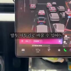 테슬라 내비게이션, 이상 증상 발생