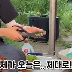 독일 여자, 고추주를 마시다