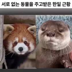 한국과 일본, 서로 없는 동물 교환