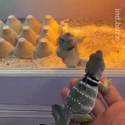 밖에 여성이 찾아왔다