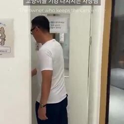 고양이 카페 군기잡는 사장님