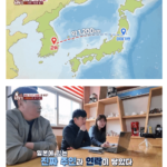 일본에서 1200km 날아서 한국까지 온 비둘기.jpg