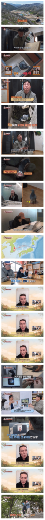 일본에서 1200km 날아서 한국까지 온 비둘기.jpg