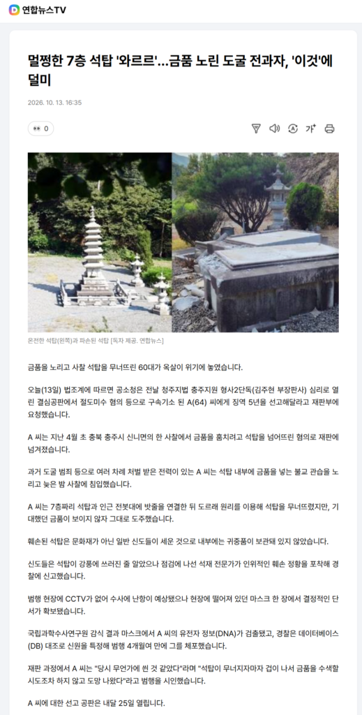 멀쩡한 7층 석탑 '와르르'…금품 노린 도굴 전과자, '이것'에 덜미