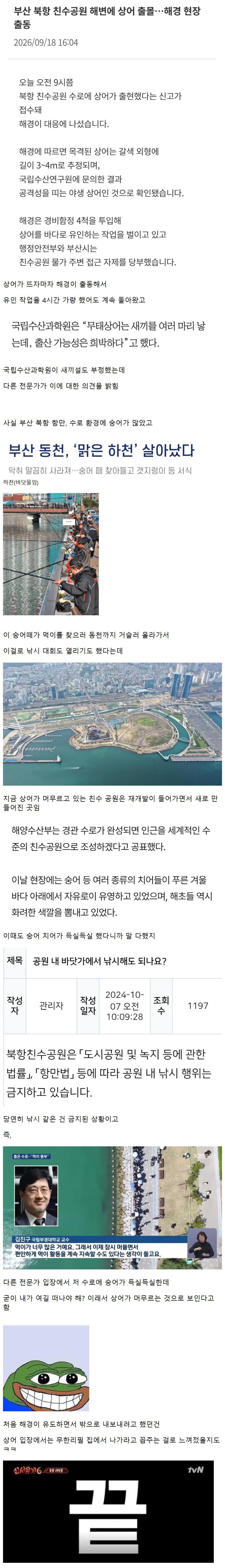 부산 상어가 머무르는 이유.