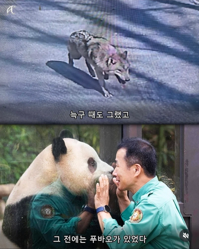 부캉이 사태를 본 침착맨의 말.jpg
