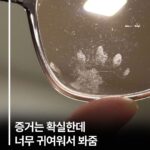 증거는 확실한데 너무 귀여워서 봐줌