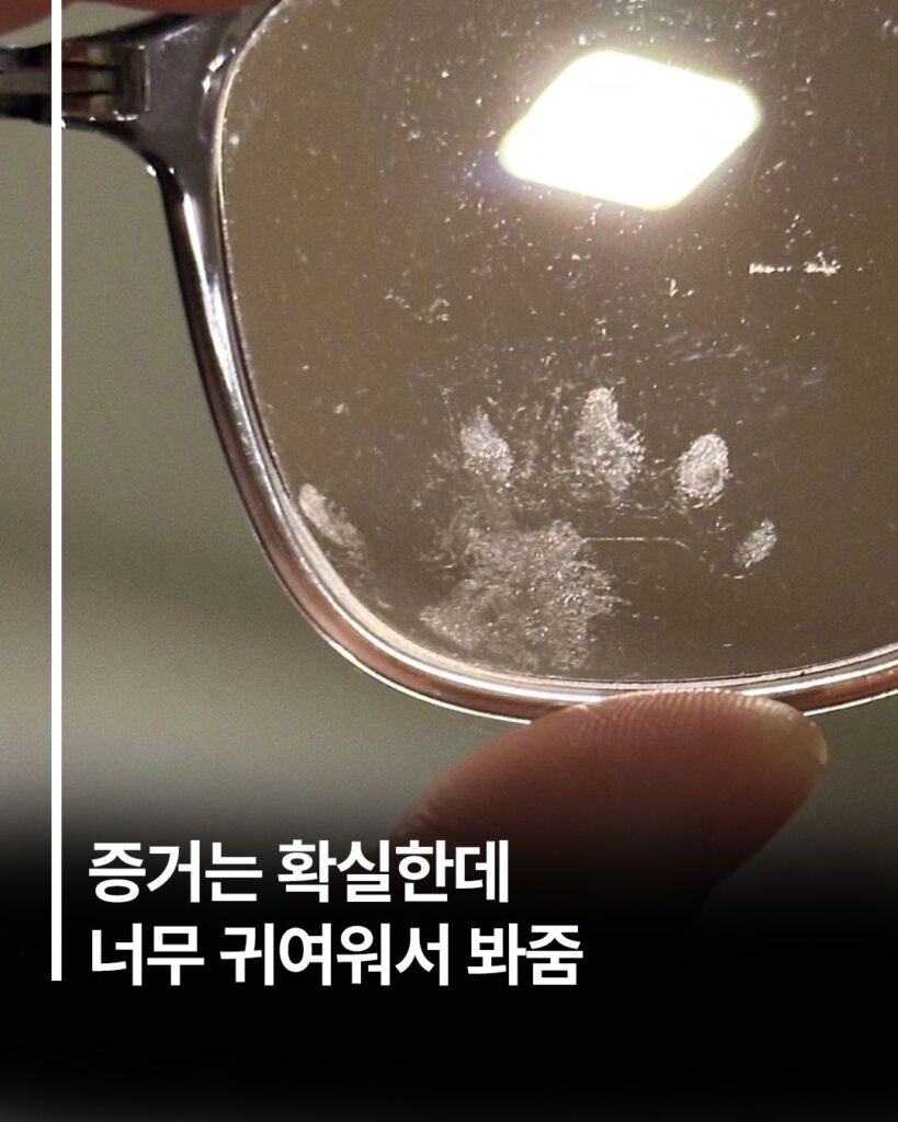 증거는 확실한데 너무 귀여워서 봐줌