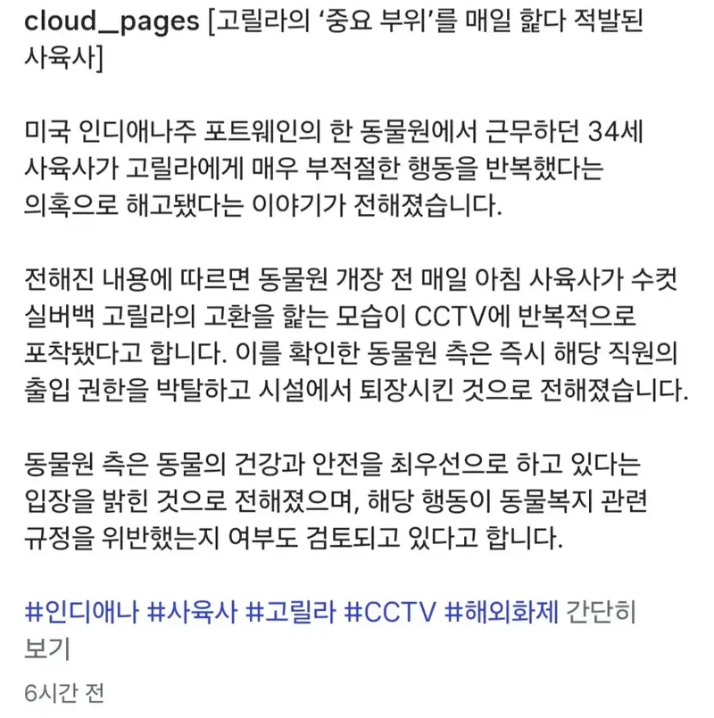 매일 아침 고릴라의 'XX'을 핥다 적발돼 해고된 사육사.jpg