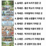 동네를 설명하는 10가지 “세권”