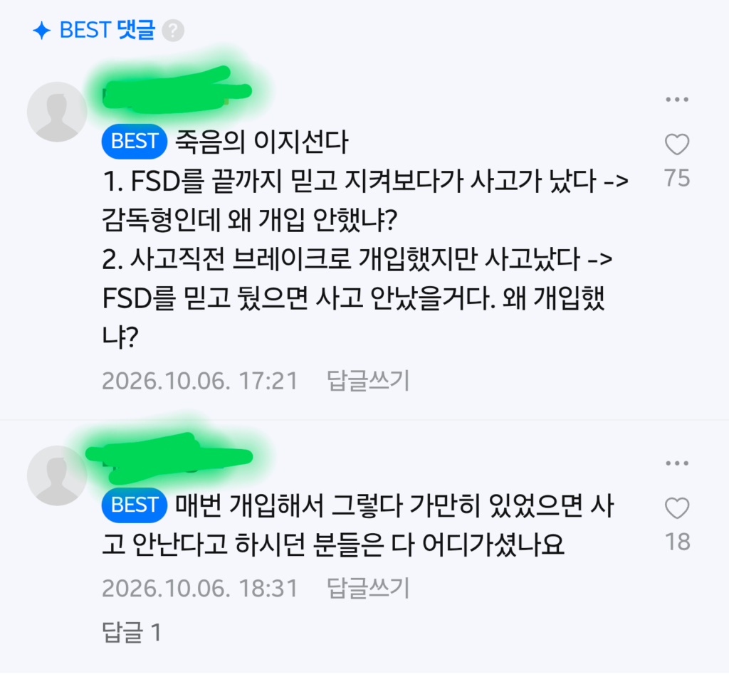 얼마전 발생한 fsd 사고