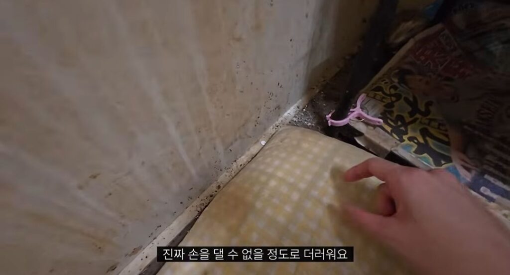 약혐) 일본에서 가장 악명 높은 숙소.jpg