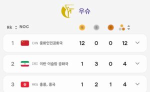 중국 아시안게임 싹쓸이 종목들.jpg