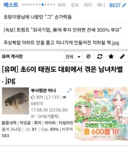 초6이 태권도 대회에서 겪은 남녀차별.jpg