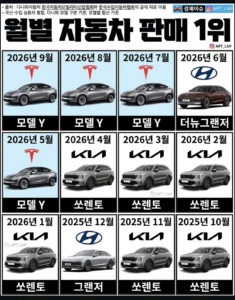 최근 1년 월별 자동차 판매 1위.jpg