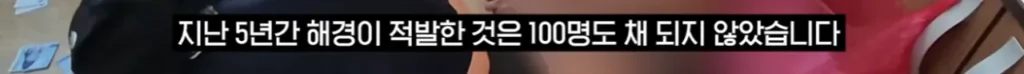 소문나버린 불체자 루트 : 제주도.news