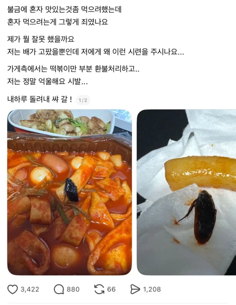 혐주의) 헬조선 K-분식 프렌차이즈 사과문 근황.news