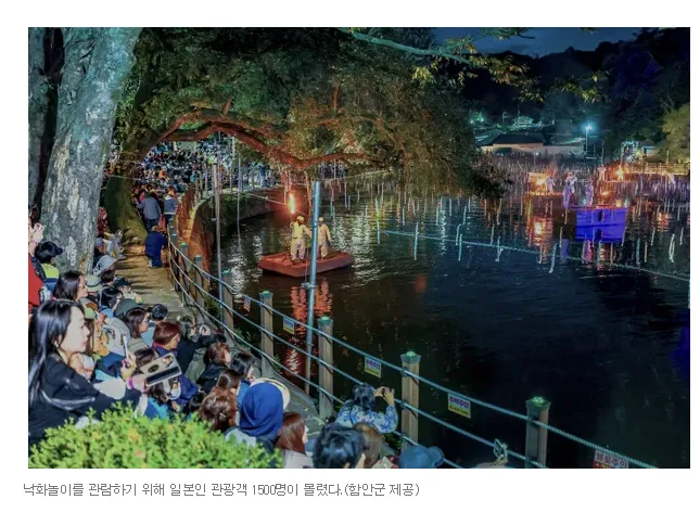 "이것 보러 한국 왔어요"…日 관람객 3년 새 3배 폭증한 '함안 낙화놀이'