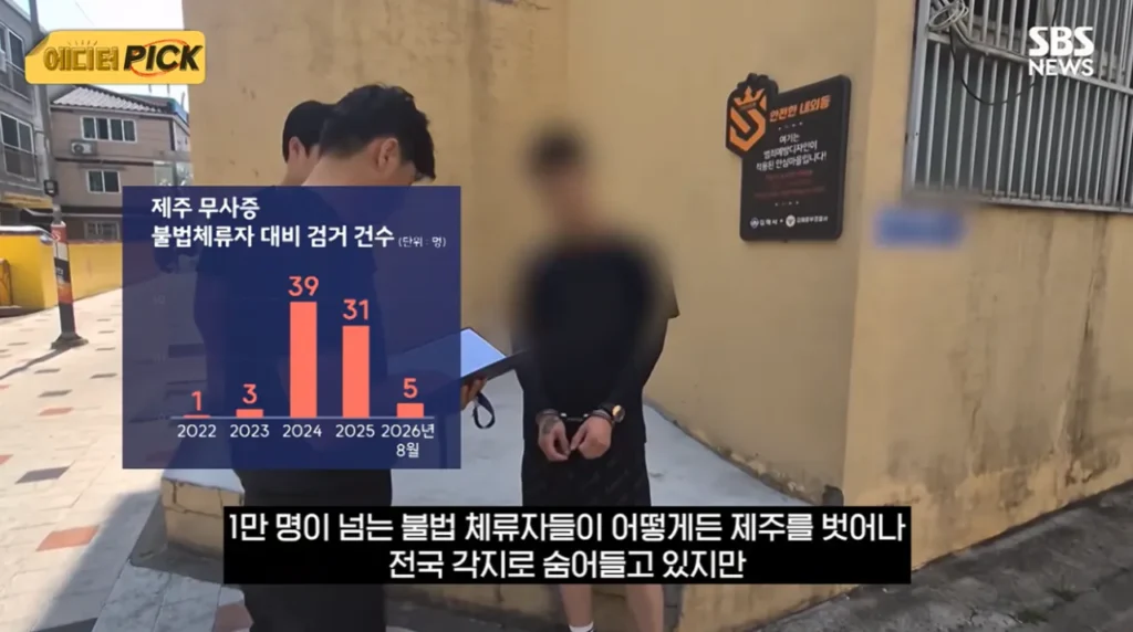 소문나버린 불체자 루트 : 제주도.news