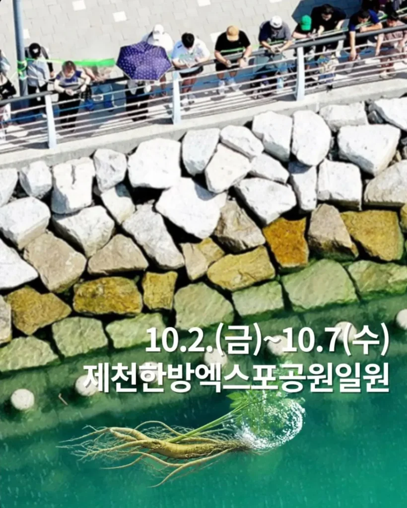 부산 북항 상어 인파가 질투났던 충북 제천시