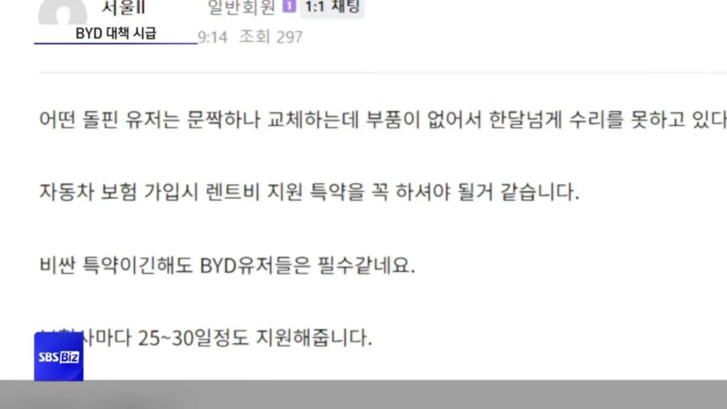 슬슬 고장나기 시작하는 BYD 근황...jpg