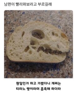 남편이 빨리 와보라고 부른 이유.jpg