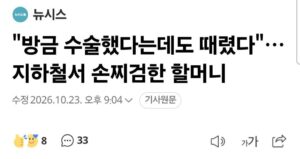 지하철에서 손찌검하는 할머니.jpg