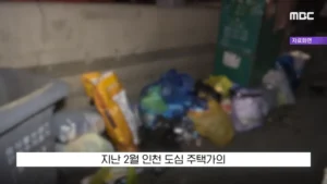 '현금 2천5백만 원을 주웠다'?..당장 경찰서 가야하는 이유.news