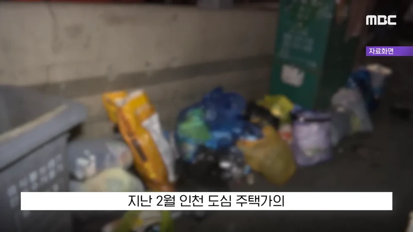 '현금 2천5백만 원을 주웠다'?..당장 경찰서 가야하는 이유.news